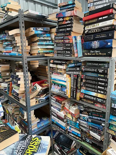 Shelves packed with novels